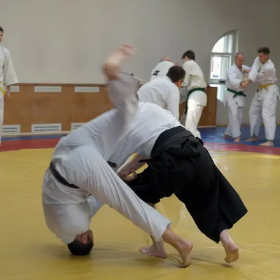 Стоковая фотография 1502514869: Brazilian Jiu Jitsu Bjj Jiujitsu Training |  Shutterstock