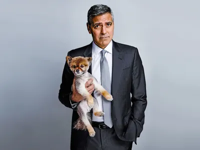 Шарлиз Терон с Джорджем Клуни: эксклюзивные фото совместных проектов