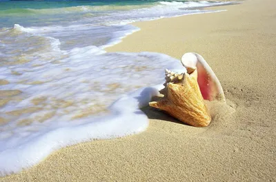 Созвездие Туризма - А море уже ждет вас! | Facebook