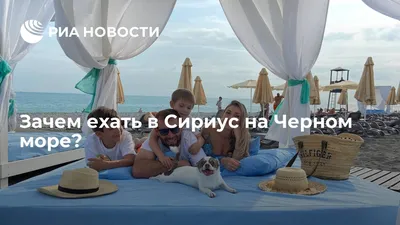 Отдых на Черном море: куда ехать и где остановиться — Квартирка.Журнал