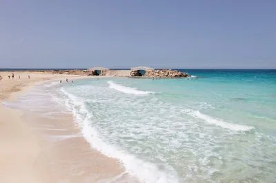 Отдых в Египте 2020. Что нужно знать туристу, собираясь в Египет: климат,  кухня, виза, курорты
