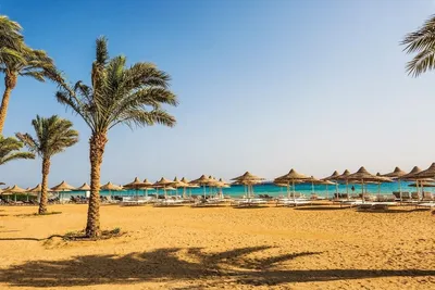 Краткий гид по курортам Египта