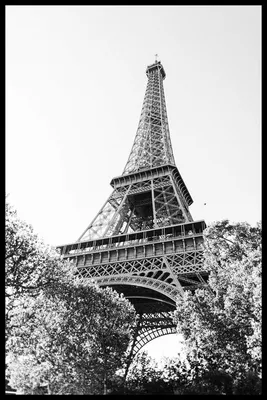 Эйфелева башня черно белая картинка