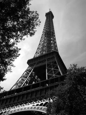 Бесплатные Эйфелева башня черно-белые стоковые фотографии | FreeImages