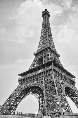 Фотообои Черно-белая эйфелева башня артикул To-002 купить в Оренбург|;|9 |  интернет-магазин ArtFresco