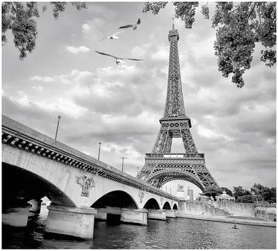 Иена Мост И Эйфелева Башня Чернобелые Photogrpahy Париж Франция — стоковые  фотографии и другие картинки Париж - Франция - iStock