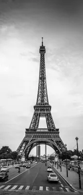 Самоклеющиеся фотообои \"Эйфелева башня на закате\", 90x210 см, эффект черно- белый - купить в Москве, цены на Мегамаркет