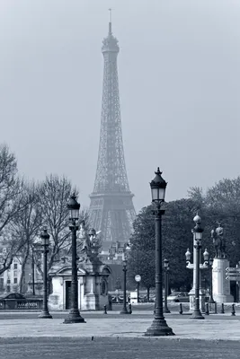 Фотообои 3д в интерьере кухни гостиной 184x254 см Черно-белая Эйфелева башня  в городе Париж (221P4A)+клей купить по цене 850,00 грн