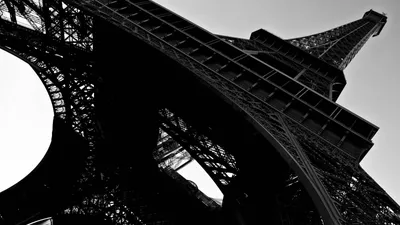 Фотообои Эйфелева башня чёрно-белая на стену. Купить фотообои Эйфелева  башня чёрно-белая в интернет-магазине WallArt