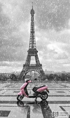 Париж, Франция 26 Марта 2014 Черно-белая Фотография Эйфелева Башня  Принимает На Пасмурный День В Начале Весны Фотография, картинки,  изображения и сток-фотография без роялти. Image 29224362