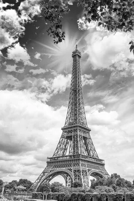 Фотообои Эйфелева башня Париж. Каталог: Черно-белые. №15165 | ABC-Decor