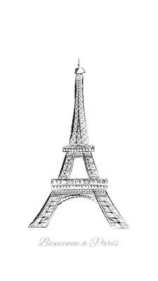 Черно Белая Картина Парижа Эйфелевой Башней Красным Кленовым Деревом  стоковое фото ©Savvatexture 201583688