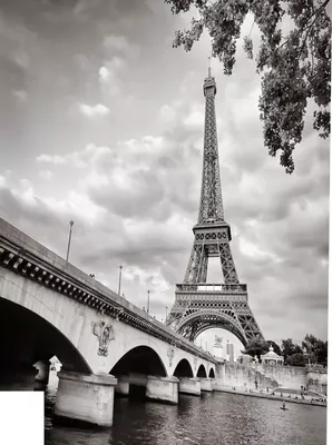 Черно-белая Эйфелева башня стоковое изображение. изображение насчитывающей  памятник - 121895547