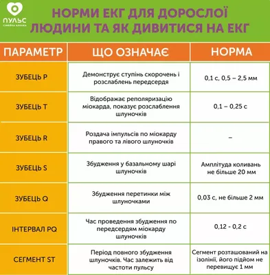 ⚕ Как расшифровать электрокардиограмму (ЭКГ)? - PULSE