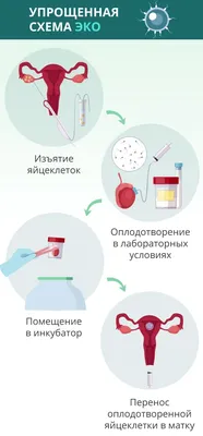 Эко картинки