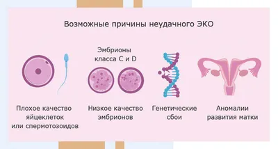 ЭКО за рубежом 2023: сколько стоит и где пройти? - Clinics on Call