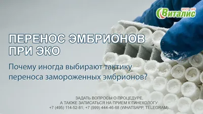 В России появился кредит на ЭКО: в чем суть и на какие еще цели можно взять  деньги в долг | Банки.ру