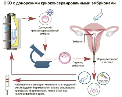 Шуманет ЭКО. Купить звукопоглощающую стеклоплиту «Шуманет Эко» по лучшей  цене в Москве