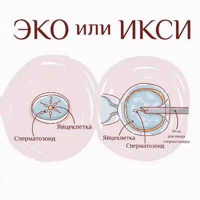 ЭКО по ОМС - счастье совсем рядом в Новосибирске | ЦНМТ