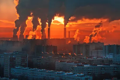 5 проблем экологии в России в 2023 году | EcoGeek | Дзен