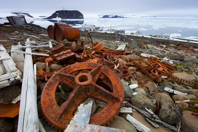 Экологические проблемы российской Арктики – GoArctic.ru – Портал о развитии  Арктики