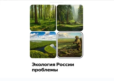 География Сведловской области Электронный учебник - Экологические проблемы