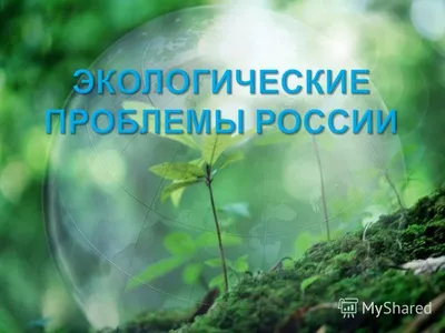 Всероссийский социальный проект “Экология глазами детей”
