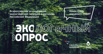 Экологическая проблема: вырубка лесов в России: Статьи экологии ➕1,  09.02.2022
