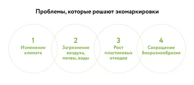 Здесь можно будет жить? Как война влияет на экологию Украины – DW –  11.11.2022