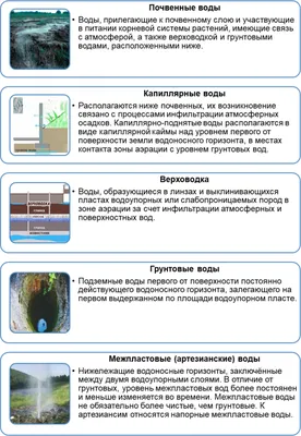 Остановите загрязнение воды, искушайте дизайн плакатов. Разрезанная бумага  подводный мир, морские животные, пластиковый мусор. Экология. Векторное  изображение ©SiberianArt 441835318