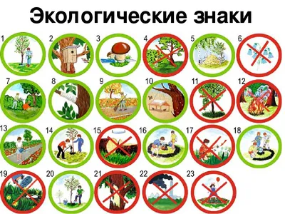 Охрана природы картинки - 68 фото