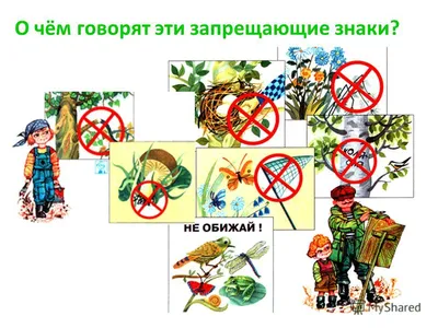 Экологические знаки в картинках: их назначение и области применения -  tarologiay.ru