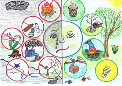 Экологические Знаки По Охране Природы В Картинках Для Детей фотографии