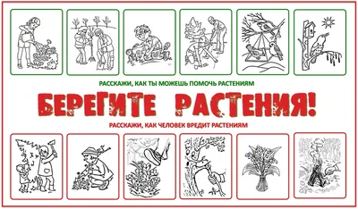 Картинки окружающий мир правила поведения в лесу (70 фото) » Картинки и  статусы про окружающий мир вокруг