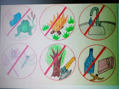 Картинки знаки охраны природы для детей с названиями (67 фото) » Картинки и  статусы про окружающий мир вокруг