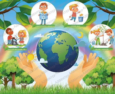 Набор табличек Экологическая тропа, 31 шт: купить для школ и ДОУ с  доставкой по всей России