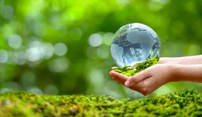 Школьников Прикамья приглашают стать участниками международной премии « Экология — дело каждого»