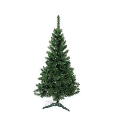 Ель Колючая Зеленая (Американская), живая новогодняя елка в пластиковом  горшке (2-5 л), 60-80 см - купить с доставкой по выгодным ценам в  интернет-магазине OZON (808461009)
