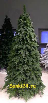 зеленая рождественская елка, рождественская елка, клипарт, декор png |  PNGEgg