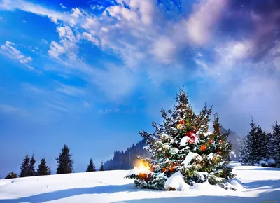 Елка зимой рисунок - 55 фото