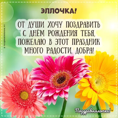 Эллочка, с Днём Рождения: гифки, открытки, поздравления - Аудио, от Путина,  голосовые