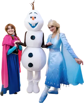Купить куклы Disney Frozen Холодное сердце 2, Эльза у костра, цены на  Мегамаркет | Артикул: 100028684182