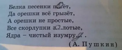 Стихи: истории из жизни, советы, новости, юмор и картинки — Все посты |  Пикабу