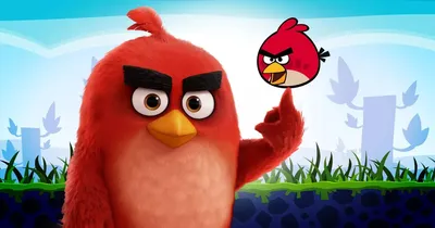 Мультсериал «Энгри Бёрдс — сердитые птички» – детские мультфильмы на канале  Карусель