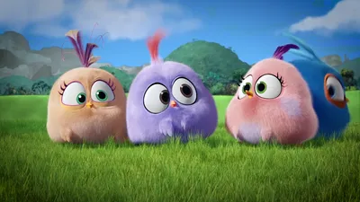 Angry Birds receives waves of support after pronoun explainer