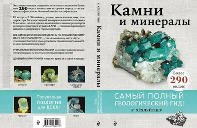 Извлечение камня глупости — Википедия