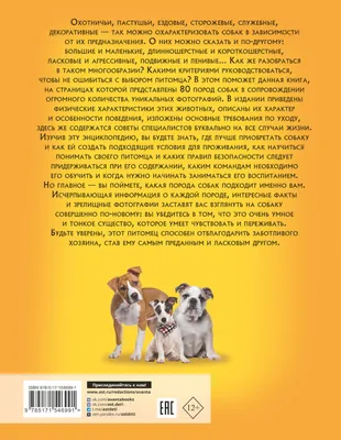 Самая лучшая иллюстрированная энциклопедия. Собаки (Ирина Барановская,  Любовь Вайткене, Анастасия Прудник) - купить книгу с доставкой в  интернет-магазине «Читай-город». ISBN: 978-5-17-154699-1