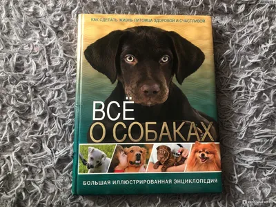 Всё о собаках. Скиба Т. В., Феданова Ю. В. - «В этой энциклопедии собрана  вся необходимая информация про собак! Тот случай, когда название говорит  само за себя 🤩» | отзывы