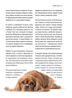 Собаки. Первая энциклопедия для малышей - купить с доставкой по выгодным  ценам в интернет-магазине OZON (514714581)