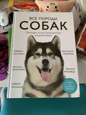 Самая лучшая иллюстрированная энциклопедия. Собаки» Барановская Ирина  Геннадьевна, Вайткене Любовь Дмитриевна, Прудник Анастасия Александровна -  описание книги | Лучшая энциклопедия домашних животных | Издательство АСТ